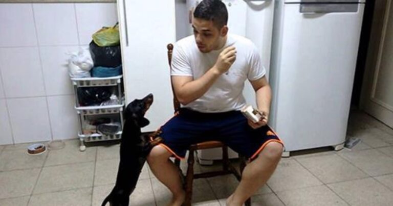 Βρήκε ένα πανέξυπνο κόλπο για να κάνει τον σκύλο του να πάρει το φάρμακο του!