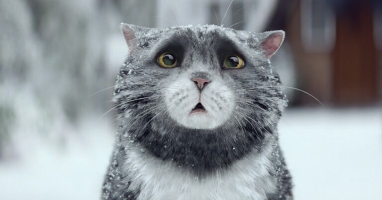 Αυτή είναι η καλύτερη διαφήμιση των φετινών Χριστουγέννων.