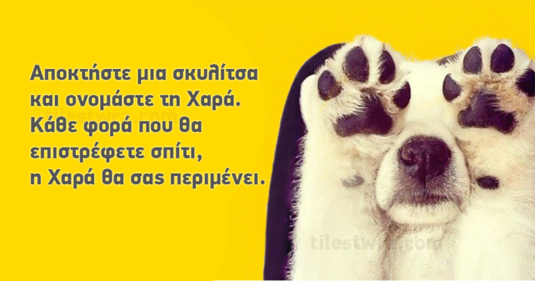 25 λόγοι για να αποκτήσετε ένα σκύλο