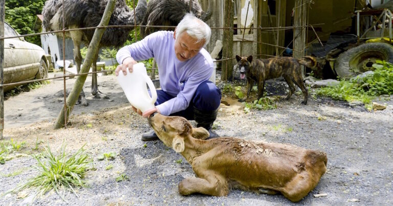 12 μικρές πράξεις καλοσύνης που άλλαξαν τον κόσμο προς το καλύτερο
