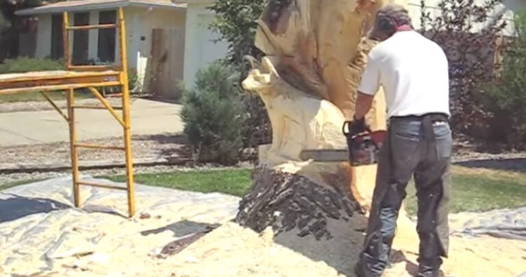 Φτιάχνει ένα ρακούν από ένα τεράστιο παλιό κορμό δέντρου!