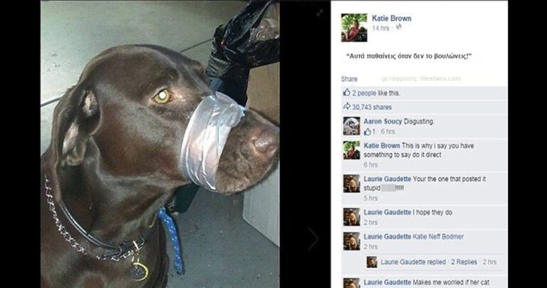 Έδεσε με μονωτική ταινία το στόμα του σκύλου της επειδή εκείνος “δεν το βούλωνε”