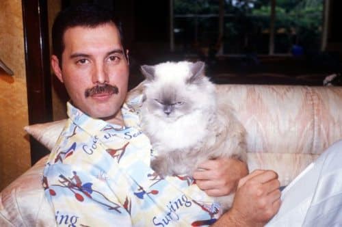 1freddie-mercury-photos-22