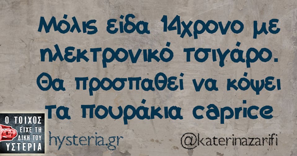 katerinazarifi