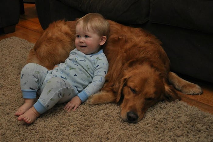 kids-with-pets-47__700