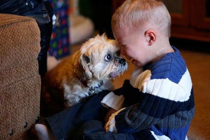 kids-with-pets-642__700