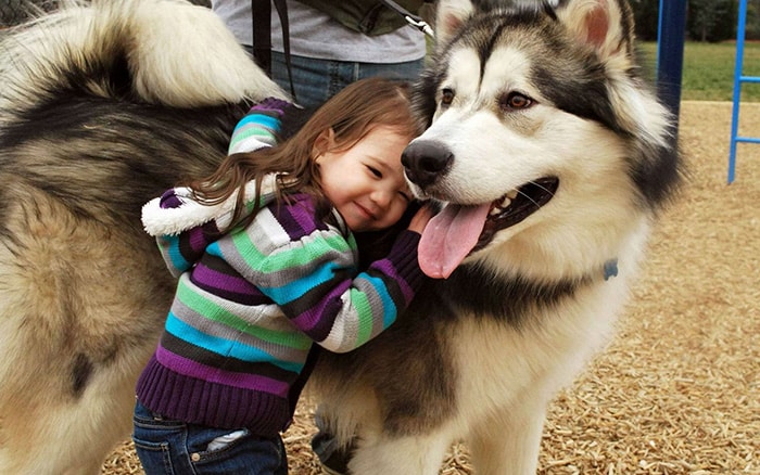 kids-with-pets-65__700