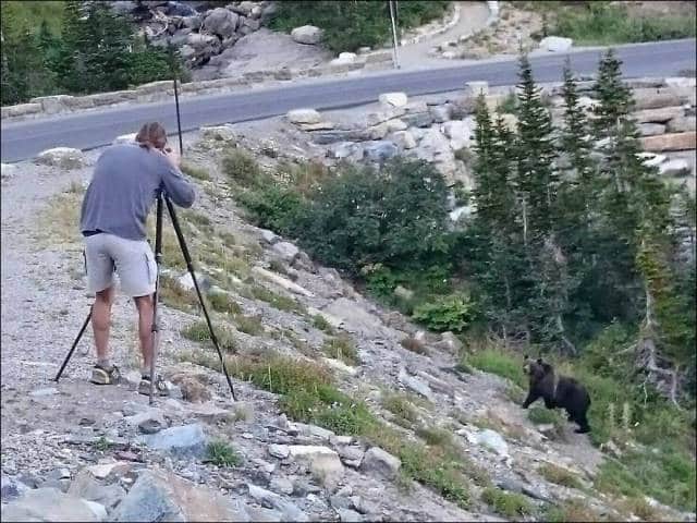 fascinating_photos_of_wildlife_photographers_on_the_job_640_01