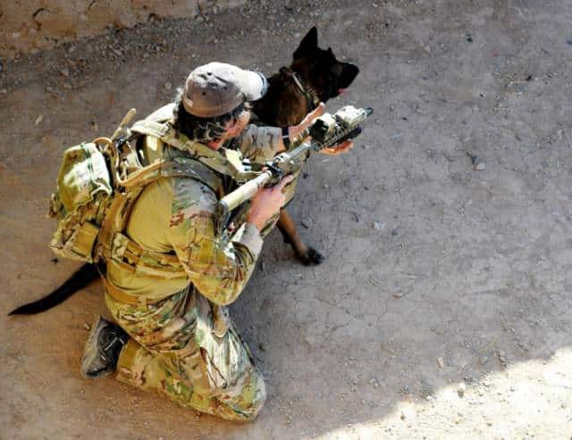 hardhitting_action_photos_of_dogs_who_serve_in_the_military_640_54