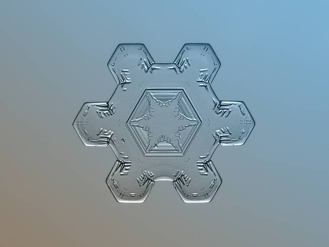 snow4.jpg.650x0_q70_crop-smart