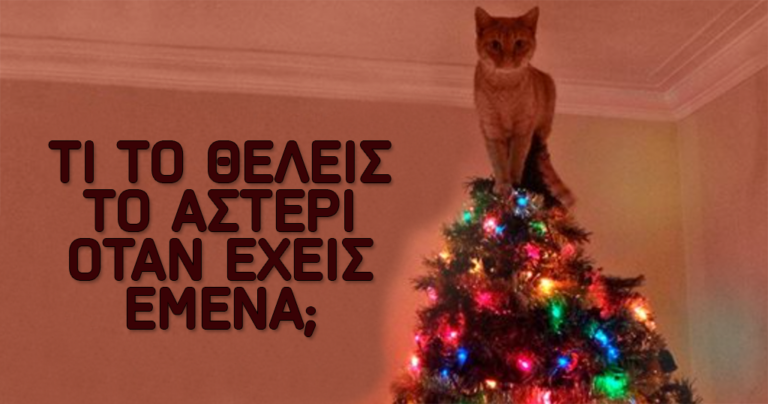 20 κατοικίδια που τα έβαλαν με το Χριστουγεννιάτικο δέντρο και νίκησαν!