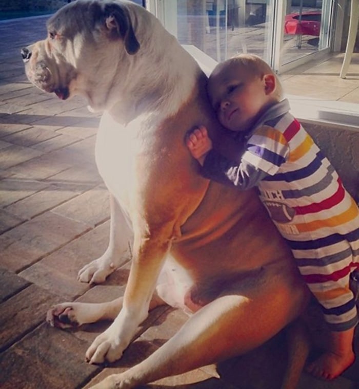 kids-with-pets-631__700