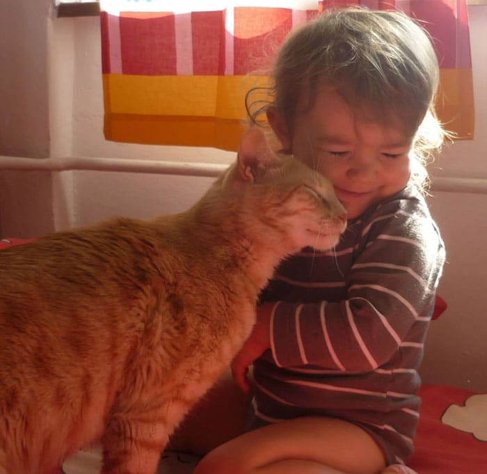 every-kids-need-pets-531__700