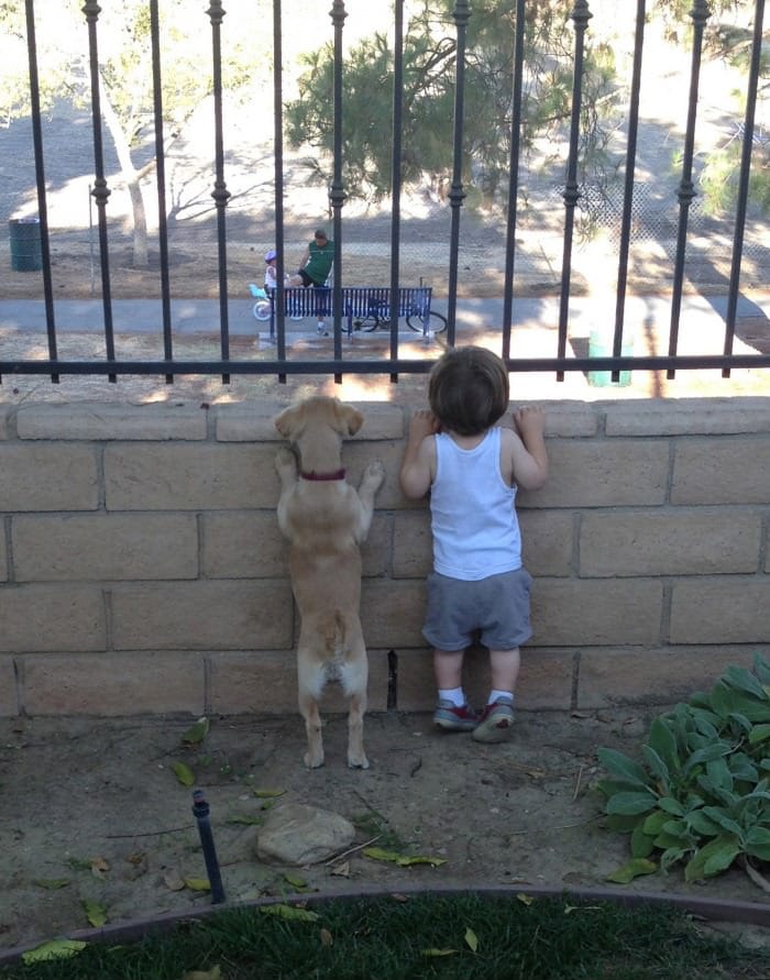 kids-with-pets-721__700