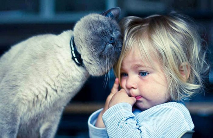every-kids-need-pets-3__700