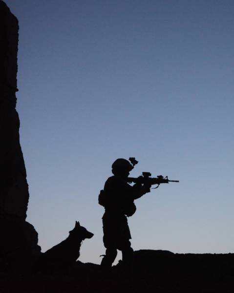 hardhitting_action_photos_of_dogs_who_serve_in_the_military_640_22