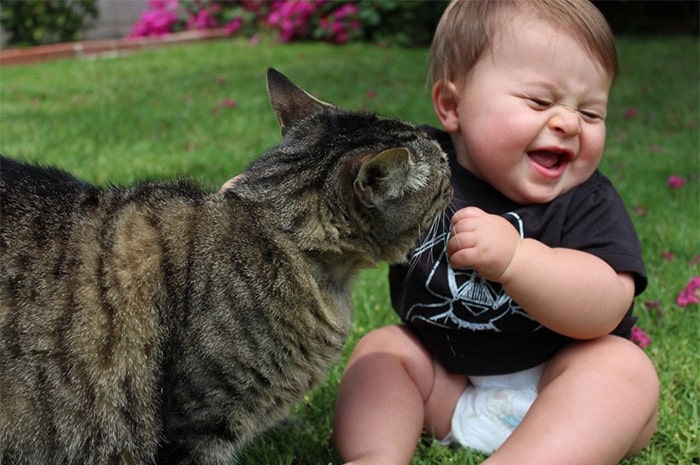 every-kids-need-pets-33__700