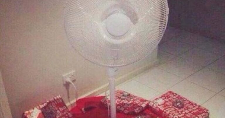 13 φωτογραφίες με παράξενα ζώα και όχι μόνο που συναντά κάποιος μόνο στην Αυστραλία!