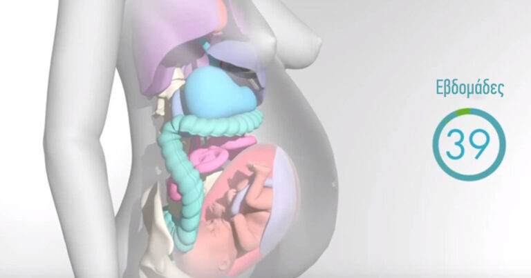 Ένα εκπληκτικό βίντεο δείχνει πώς αλλάζουν τα όργανα της γυναίκας στην εγκυμοσύνη.