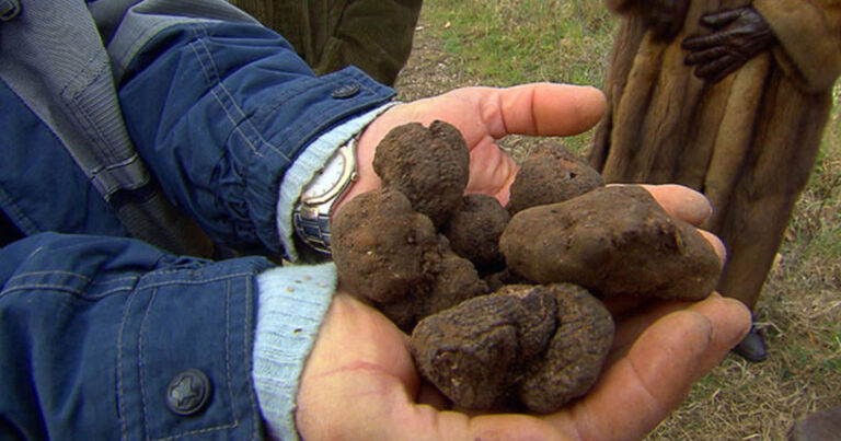 Αυτό είναι το πιο ακριβό φαγητό στο κόσμο!