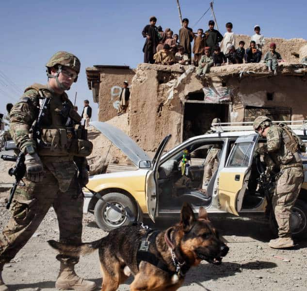 hardhitting_action_photos_of_dogs_who_serve_in_the_military_640_40