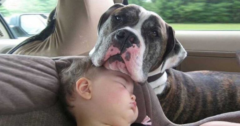 25 λόγοι γιατί τα παιδιά χρειάζεται να μεγαλώνουν με κατοικίδια