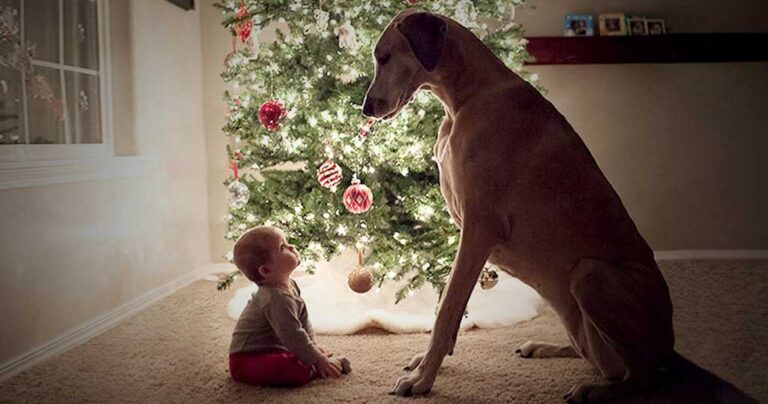 20 φωτογραφίες που αποδεικνύουν πως η Πρωτοχρονιά είναι η πιο μαγική γιορτή στον πλανήτη