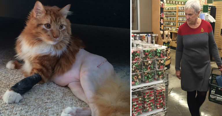 50 αξιοπερίεργες φωτογραφίες για να τελειώσει η εβδομάδα πιο γρήγορα