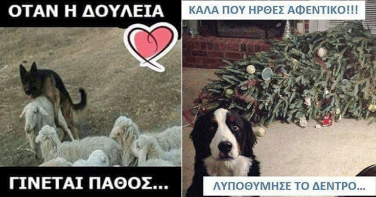 40 χιουμοριστικές φωτογραφίες που είδαμε στο ελληνικό διαδίκτυο και έκαναν πάταγο!