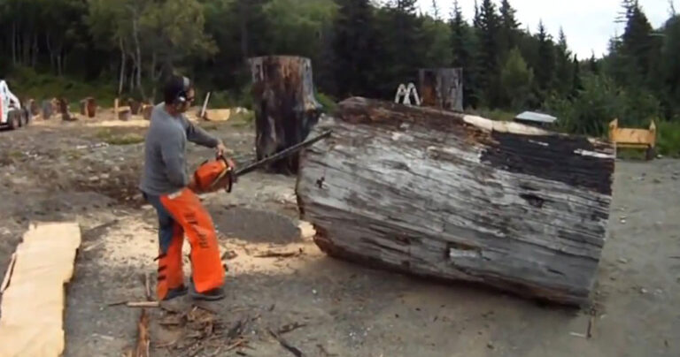 Μετέτρεψε αυτόν τον τεράστιο κορμό δέντρου σε κάτι πολύ εντυπωσιακό!