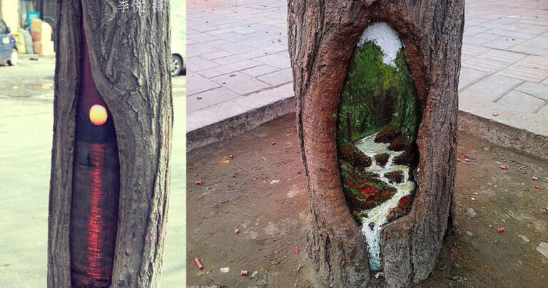 Ζωγράφος μετατρέπει τρύπες δέντρων σε έργα τέχνης