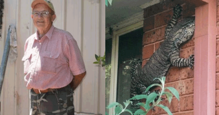 Αυτή η τεράστια σαύρα μας δείχνει ότι η Αυστραλία είναι ένα άγριο μέρος.