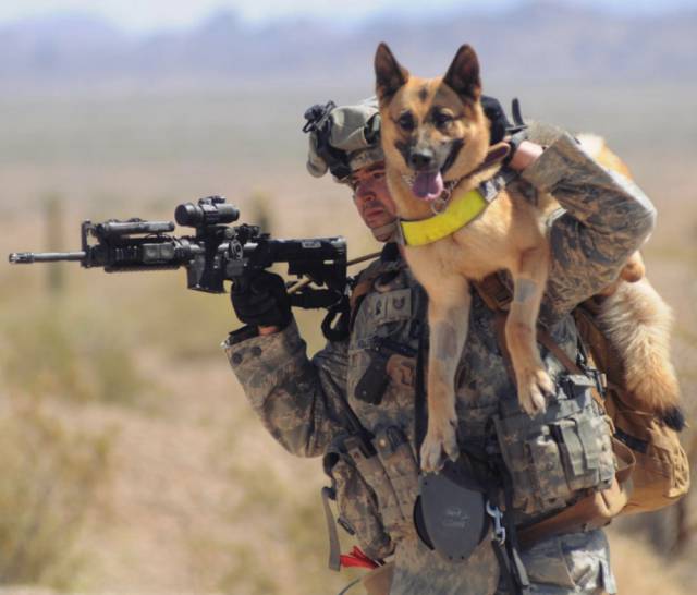 hardhitting_action_photos_of_dogs_who_serve_in_the_military_640_61