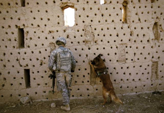 hardhitting_action_photos_of_dogs_who_serve_in_the_military_640_63
