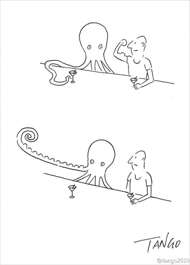 octopus2