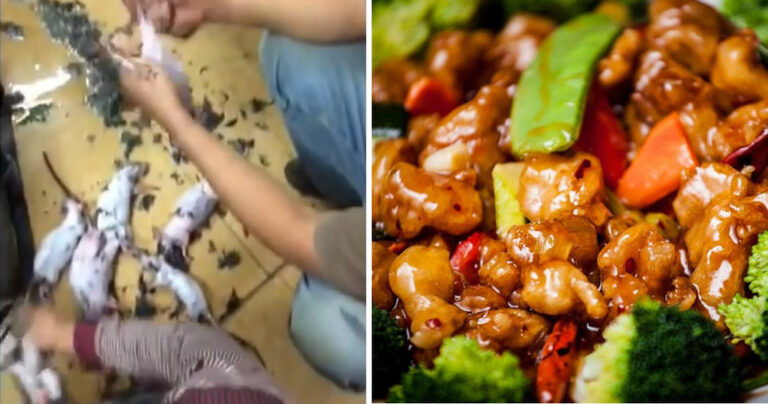 Αηδιαστικό βίντεο δείχνει Κινέζους μάγειρες να γελούν ενώ ετοιμάζουν γεύματα με αρουραίους.