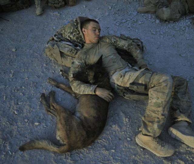 hardhitting_action_photos_of_dogs_who_serve_in_the_military_640_12