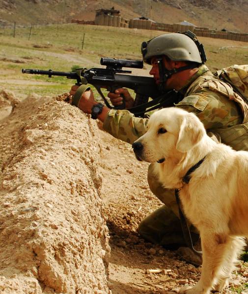 hardhitting_action_photos_of_dogs_who_serve_in_the_military_640_24