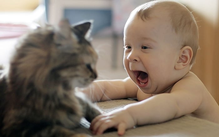 kids-with-pets-45__700