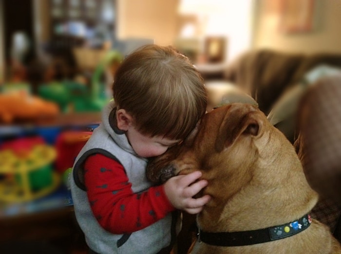 kids-with-pets-601__700