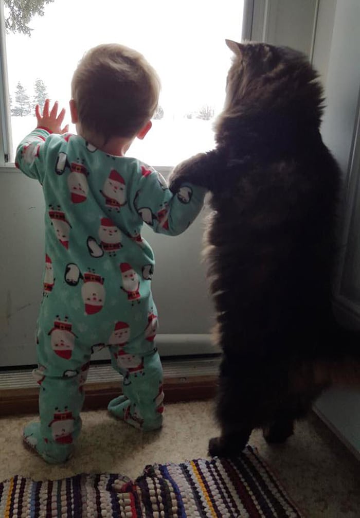 kids-with-pets-73__700