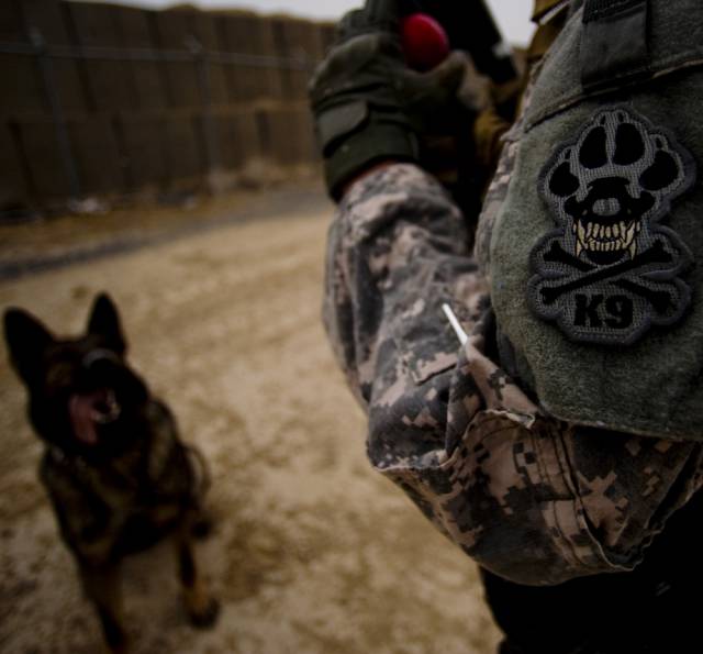 hardhitting_action_photos_of_dogs_who_serve_in_the_military_640_64