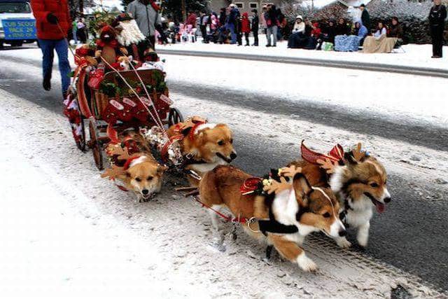 daily_picdump_2002_640_83