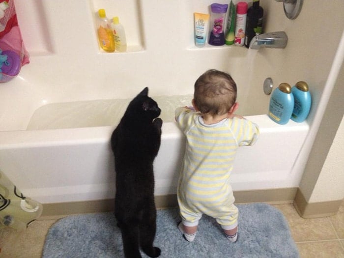 every-kids-need-pets-27__700