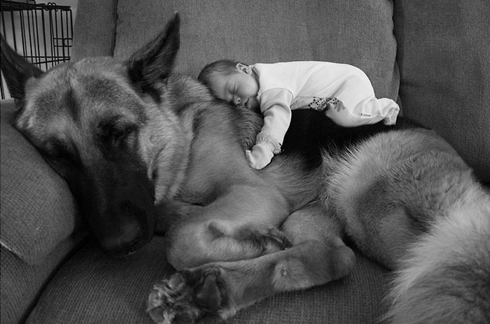 every-kids-need-pets-7__700