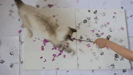cat-painting-with-paws