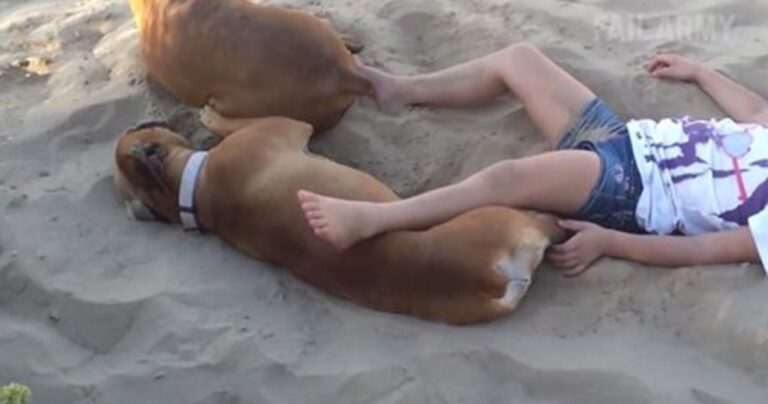 Η απόλυτη συλλογή του 2015 με ανθρώπους που πήραν αμέσως αυτό που τους άξιζε!