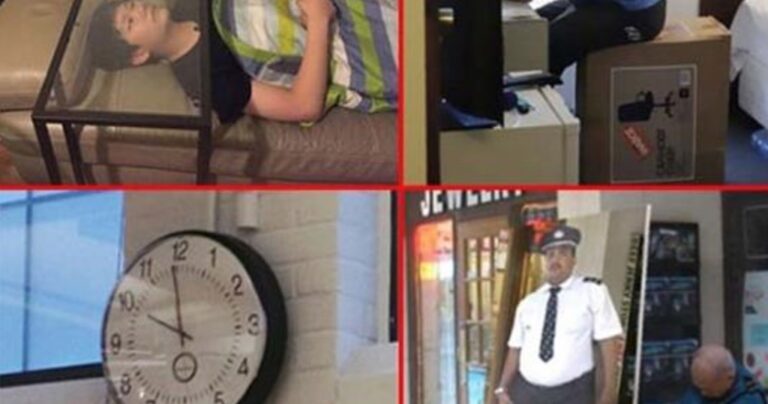 13 φωτογραφίες από πραγματικούς άρχοντες της τεμπελιάς!