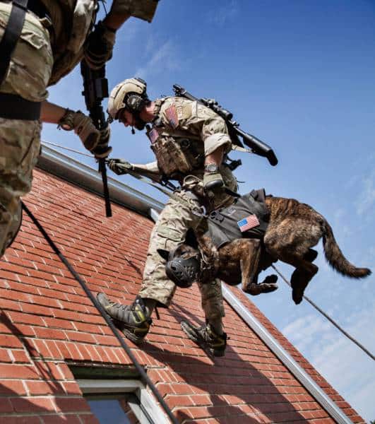 hardhitting_action_photos_of_dogs_who_serve_in_the_military_640_34