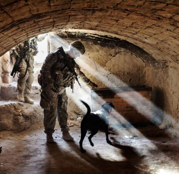 hardhitting_action_photos_of_dogs_who_serve_in_the_military_640_37